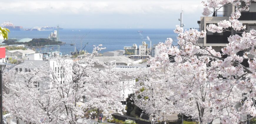 横浜市磯子